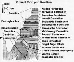 geological section of the Grand Canyon